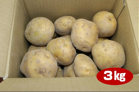富山県黒部産のジャガイモ【品種：北あかり】３kg