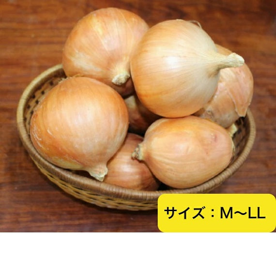 富山県黒部産のジャガイモ【品種：北あかり】３kg
