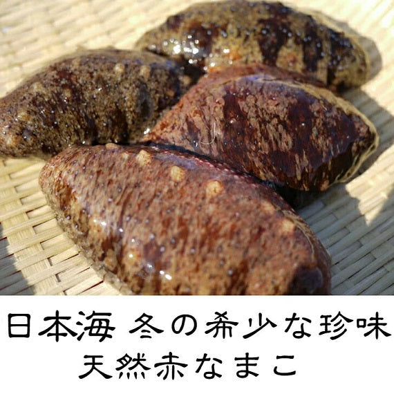 柔らかなまこ酢(赤なまこ)1パック（100ｇ） 冷凍パック　日本海 冬の珍味　 栄養の宝庫