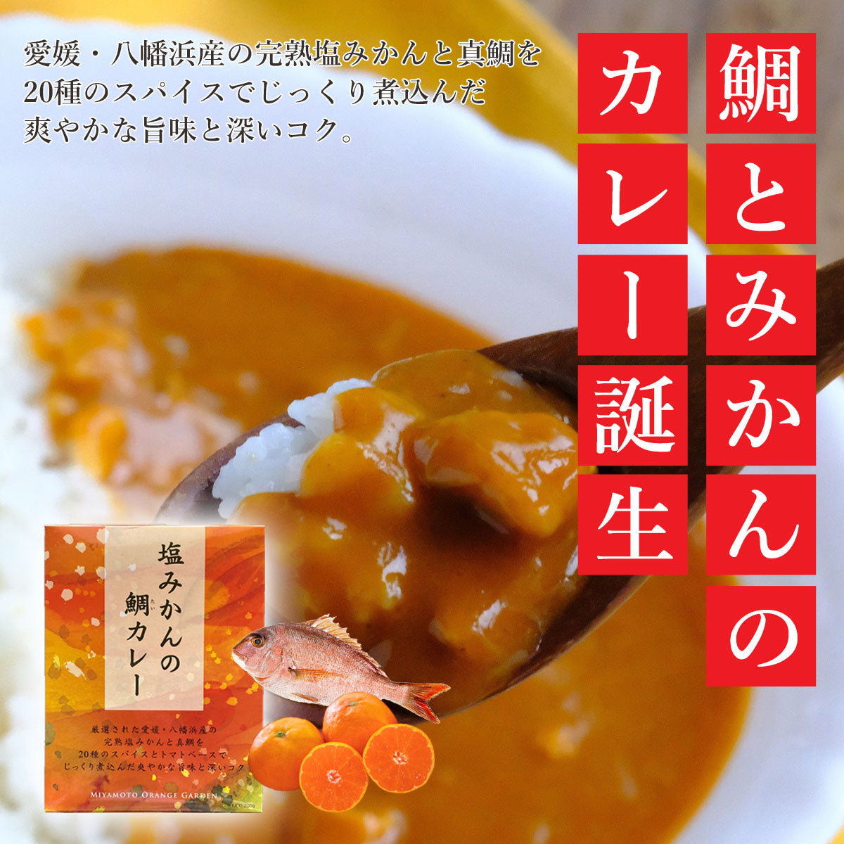 塩みかんの鯛カレー 200g