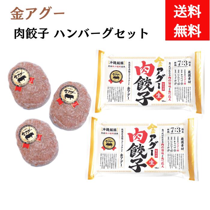 金アグー　肉餃子2パック　ハンバーグ3個セット　冷凍【送料無料】