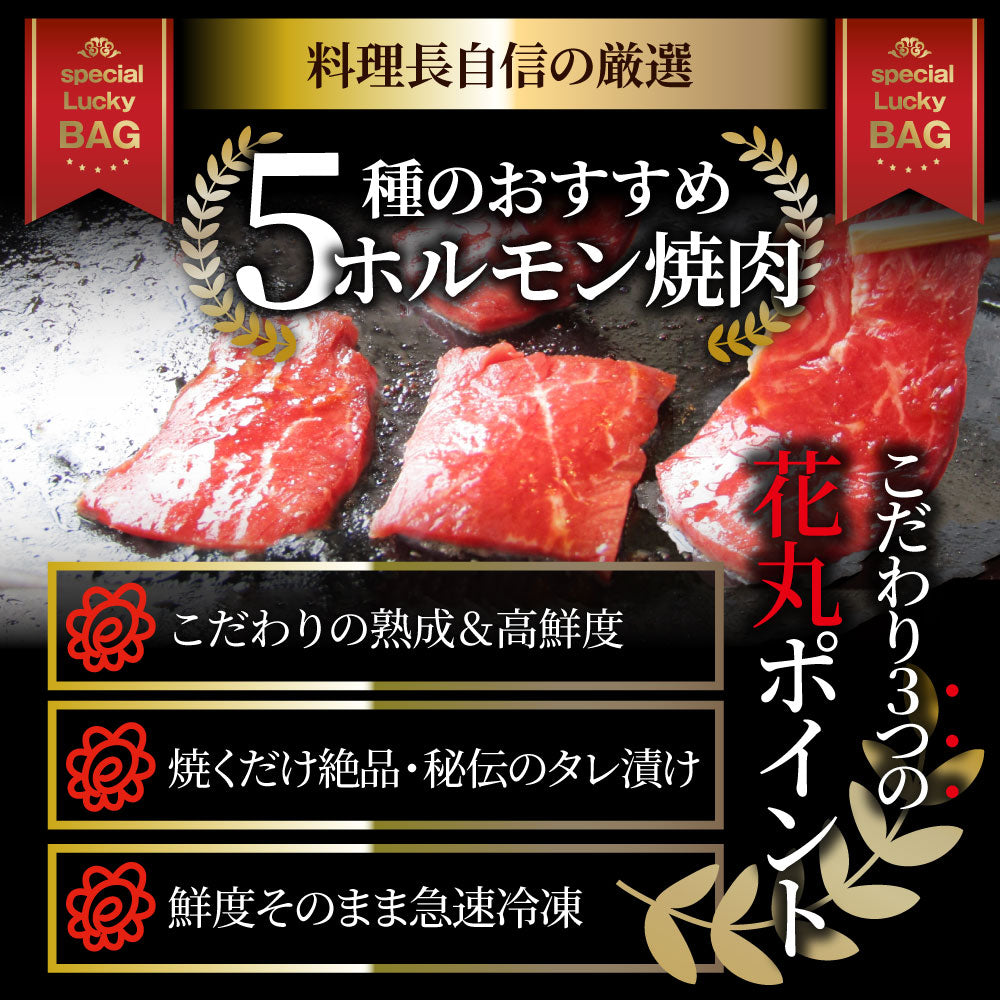 焼肉ホルモンセット ホルモン（ 焼肉 ホルモン マルチョウ ハラミ レバー シマチョウ アカセン 漬け ） アウトドア お家焼肉 レジャー 送料無料 バーベキュー 肉 食材 セット バーベキューセット キャンプ キャンプ飯