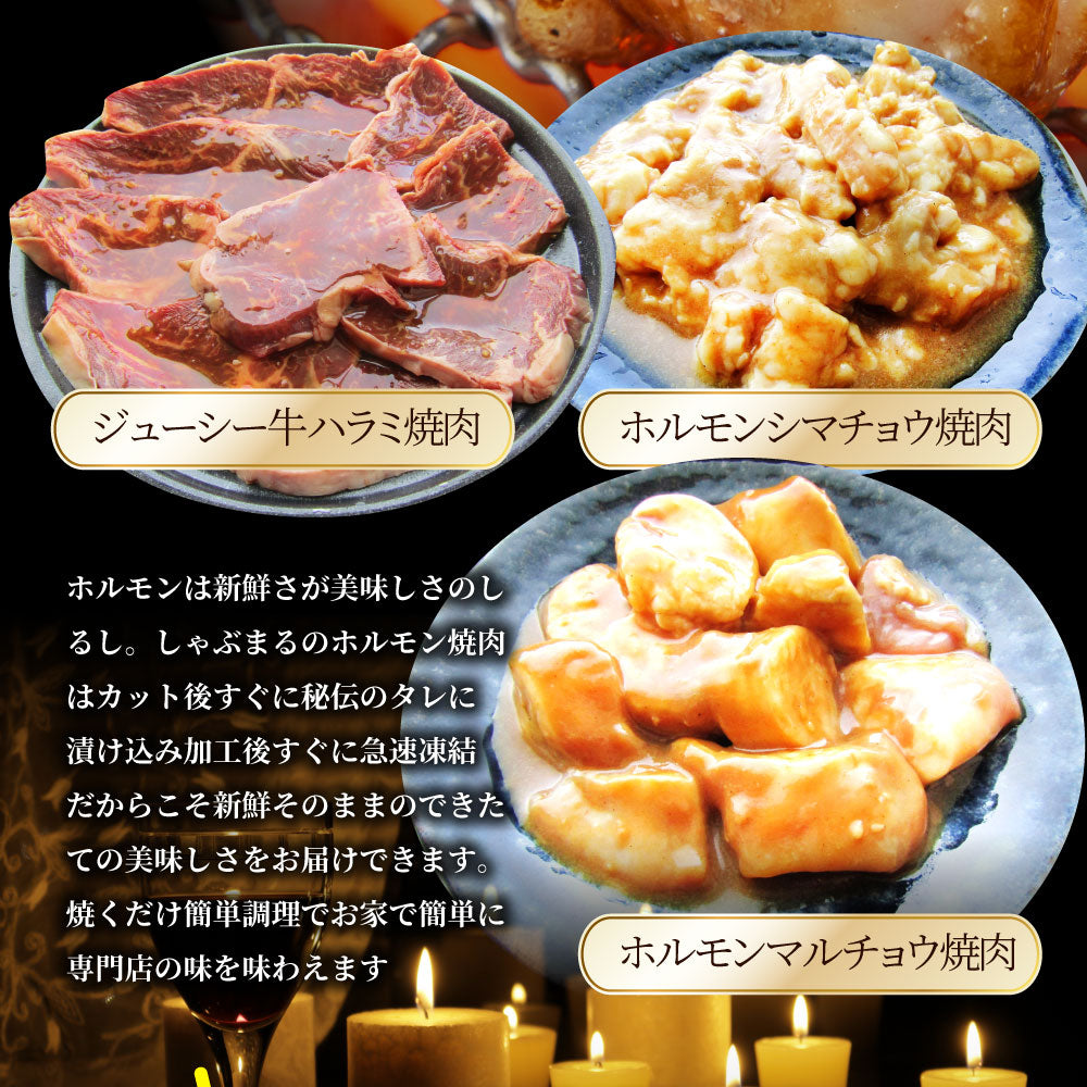 焼肉ホルモンセット ホルモン（ 焼肉 ホルモン マルチョウ ハラミ レバー シマチョウ アカセン 漬け ） アウトドア お家焼肉 レジャー 送料無料 バーベキュー 肉 食材 セット バーベキューセット キャンプ キャンプ飯
