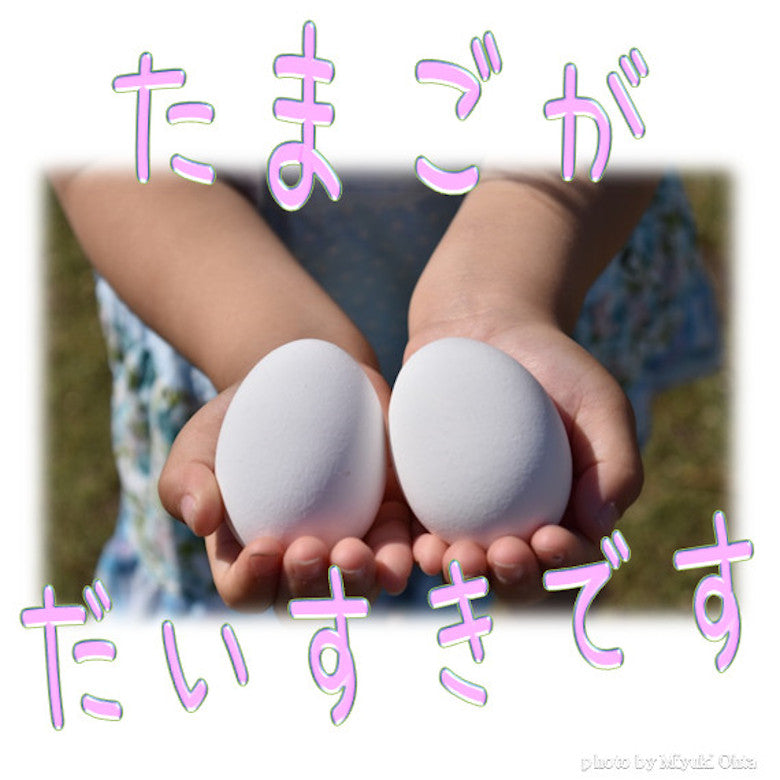 たまご　(ブランド卵「満月」） 鶏卵ミックスサイズ80個