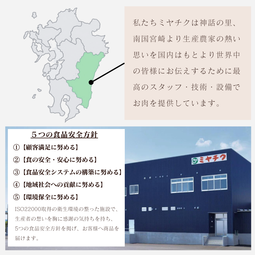 ★ 送料無料 ★ 宮崎牛肩(ウデ)スライス500g |和牛 ギフト お歳暮 産地直送