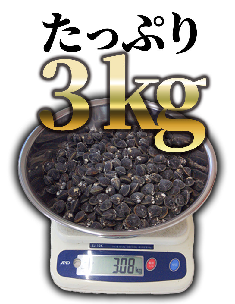 島根県宍道湖産しじみ　Lサイズ（冷凍）3kg　どどんと3キロたっぷり使える！