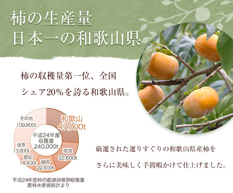 完全無添加 紀州自然菓 あんぽ柿 個別包装 約55g 12個入セット