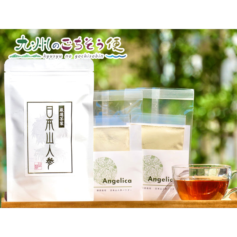 日本山人参茶 ティーバック1袋・パウダー2袋 セット【送料無料】【産地直送】
