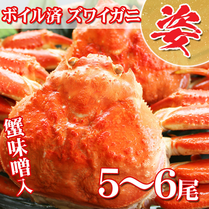 【送料無料】ボイル済ずわい蟹/姿 3㎏（5～6尾入）ギフト 2024 海鮮問屋 見田元七商店