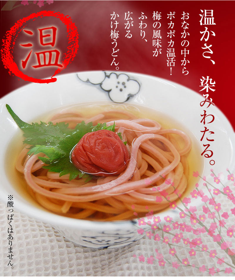 梅うどん 4食スープ付（お出汁選べる！⇒冷やしうどん用めんつゆ付き・かけうどん専用おだし付き）