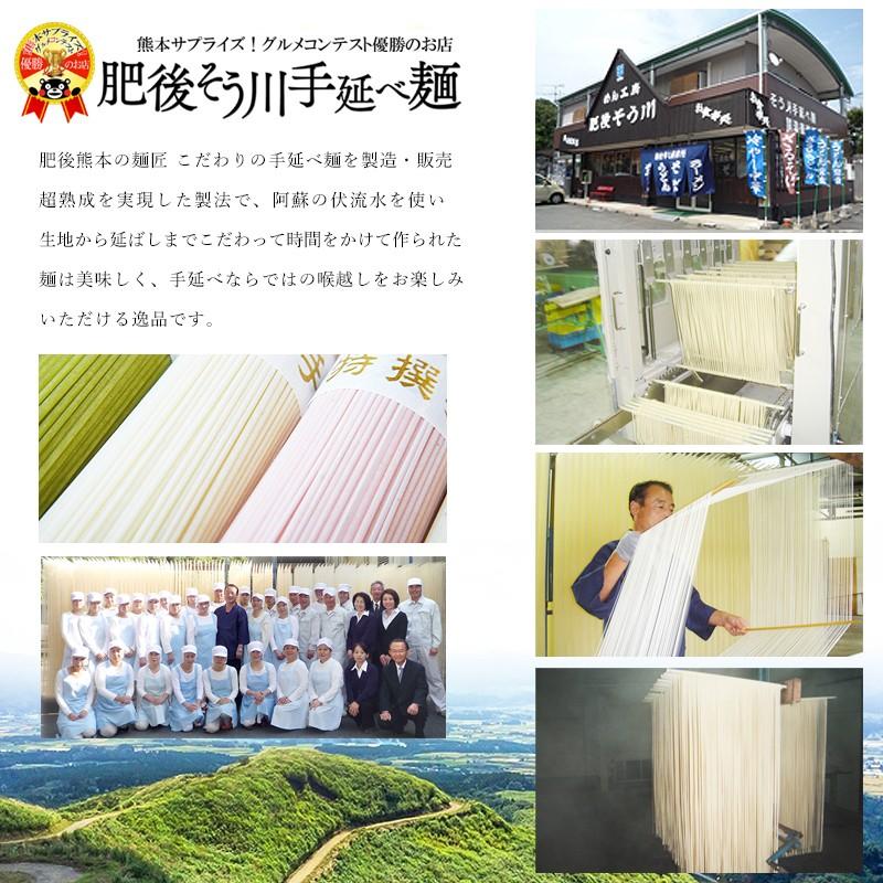 肥後そう川の素麺 手延べ そうめん 2人前×2パック 送料無料【そうめん・うどん・麺類】